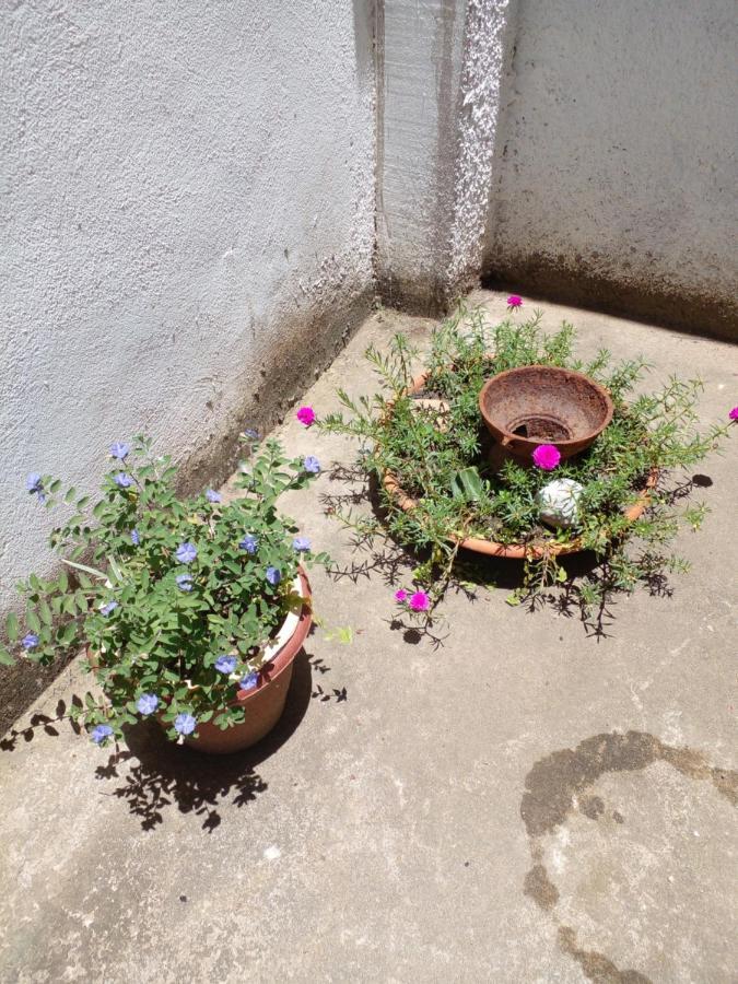 São Pedro da Aldeia Quarto Em Casa De Condominio المظهر الخارجي الصورة